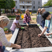 Link zur Meldung Neues aus dem Nachbarschaftsgarten