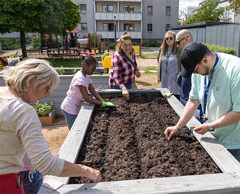 Link zur Meldung Neues aus dem Nachbarschaftsgarten