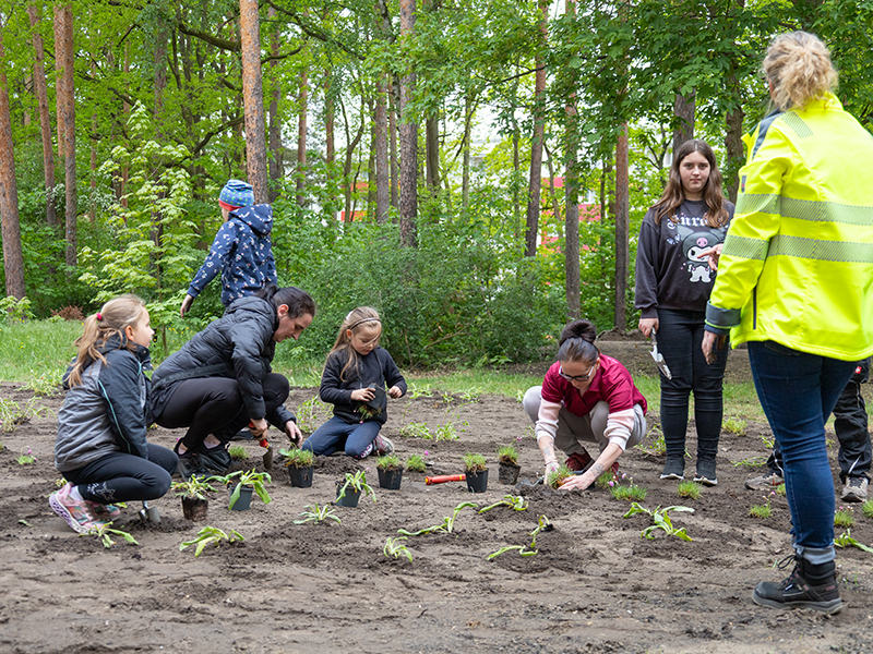 7.5.2026 // Bepflanzung der Wildblumenwiese
