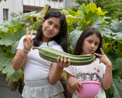 4.8.2026 // Nur ein Zucchini, dafür aber groß. 4.8.2026, Nur ein Zucchini, dafür aber groß.