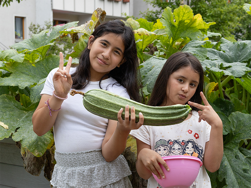 4.8.2026 // Nur ein Zucchini, dafür aber groß. 4.8.2026, Nur ein Zucchini, dafür aber groß.