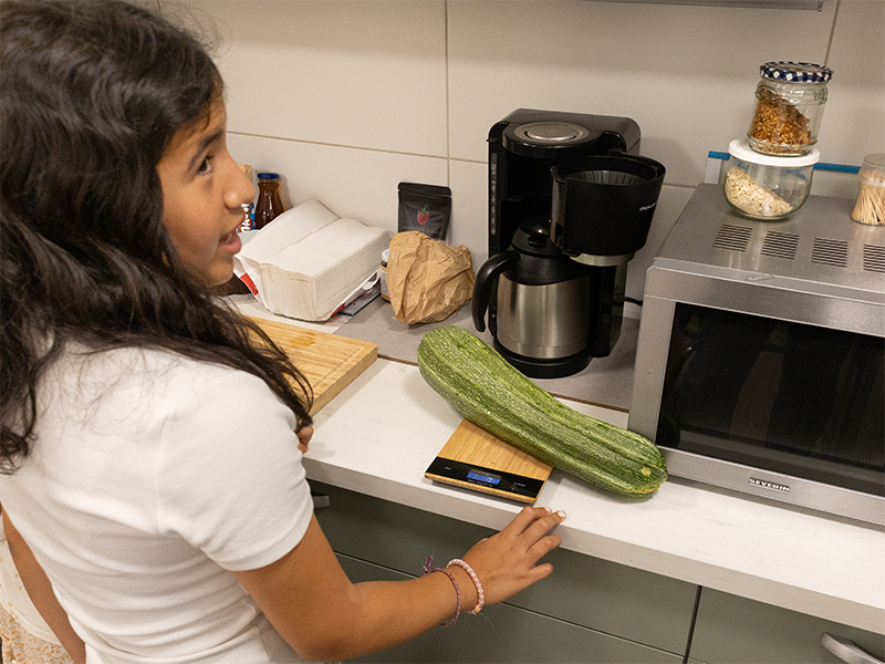 4.8.2026 // Anderthalb Kilo. 4.8.2026, die große Zucchini wird gewogen.